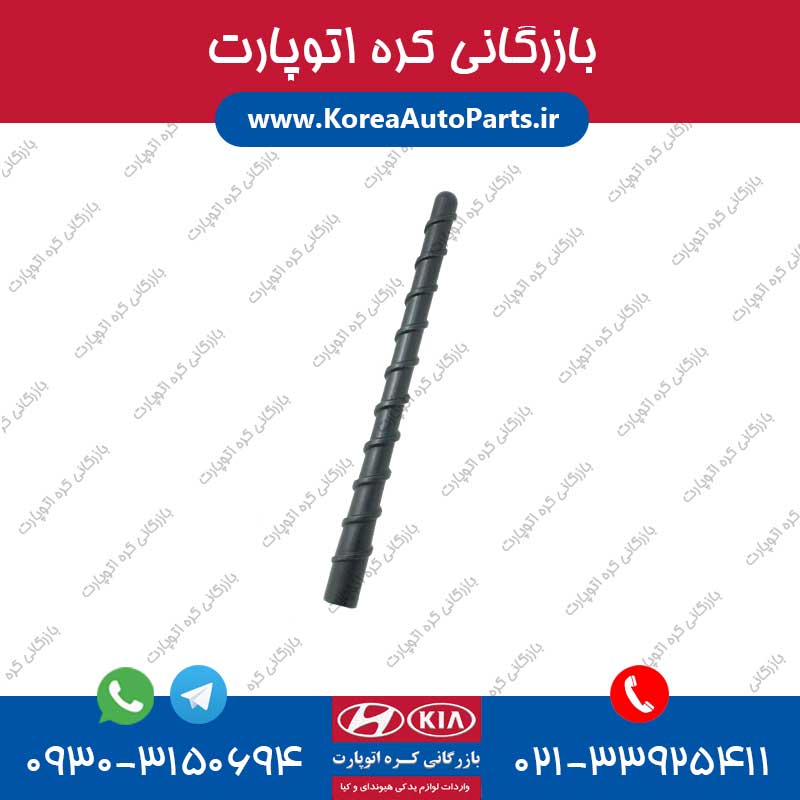آنتن اسپورتیج
