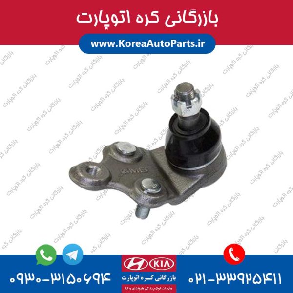 سیبک طبق اپیروس