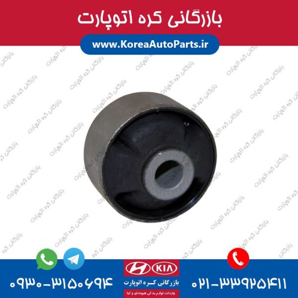بوش طبق جنسیس کوپه