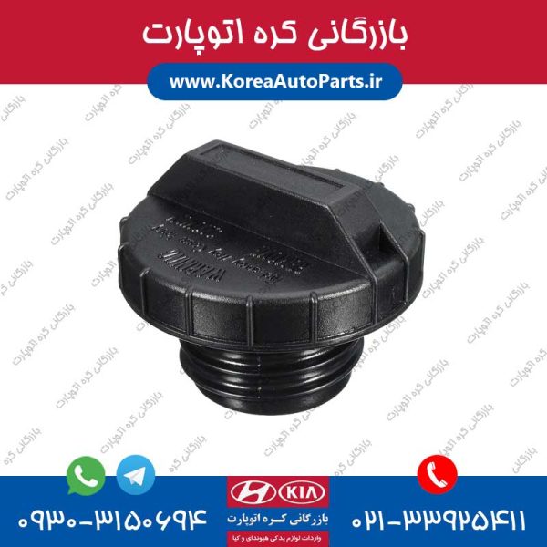 درب باک داخلی آوانته
