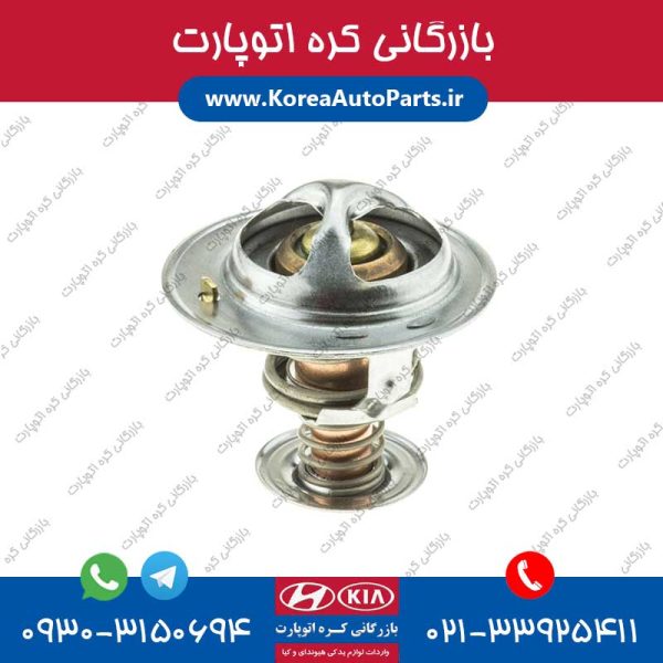 ترموستات آوانته