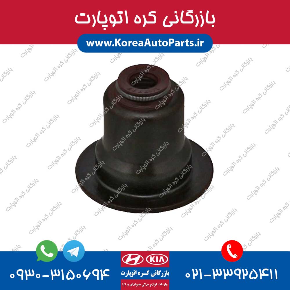 لاستیک ساق سوپاپ توسان