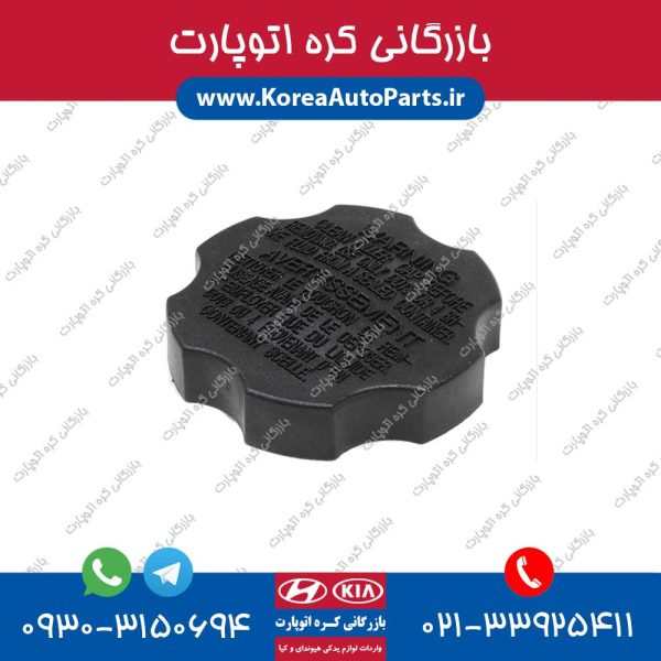 درب مخزن پمپ ترمز آوانته