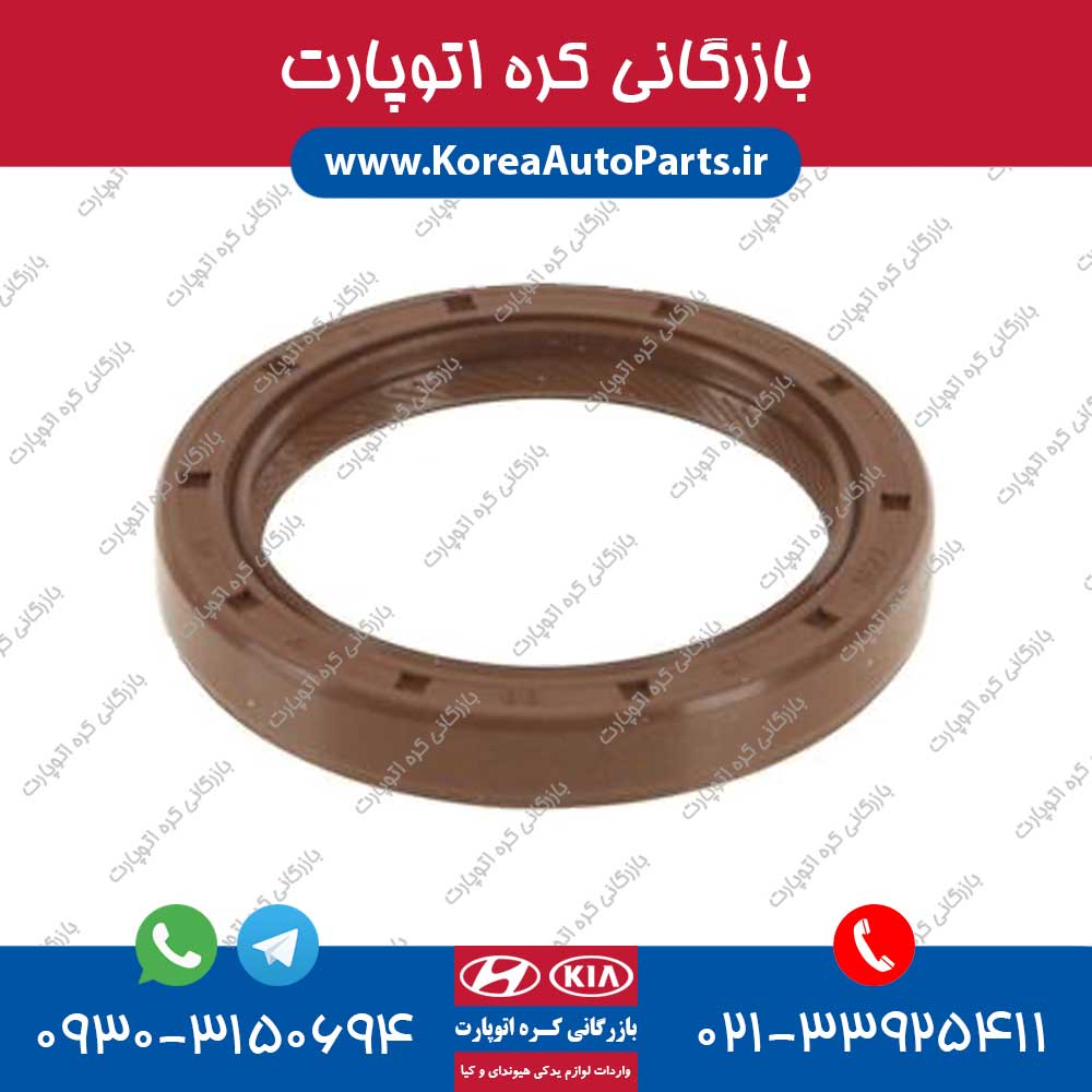 کاسه نمد میل لنگ پیکانتو
