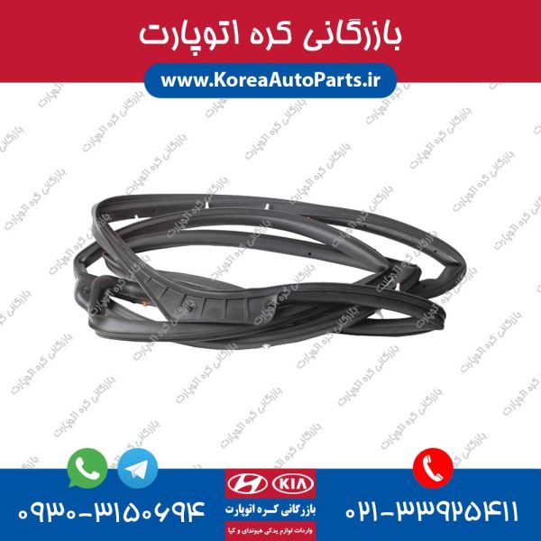 لاستیک دور درب i30