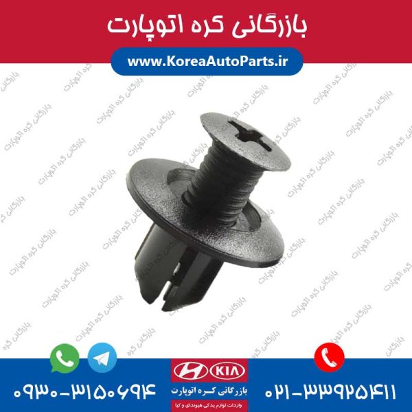 خار رکاب جنسیس کوپه