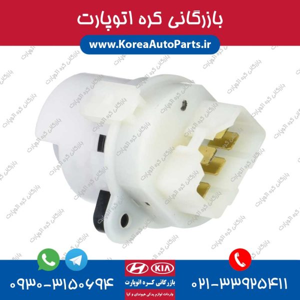 مغزی سوییچ اکسنت