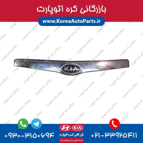 زه لبه کاپوت ورنا