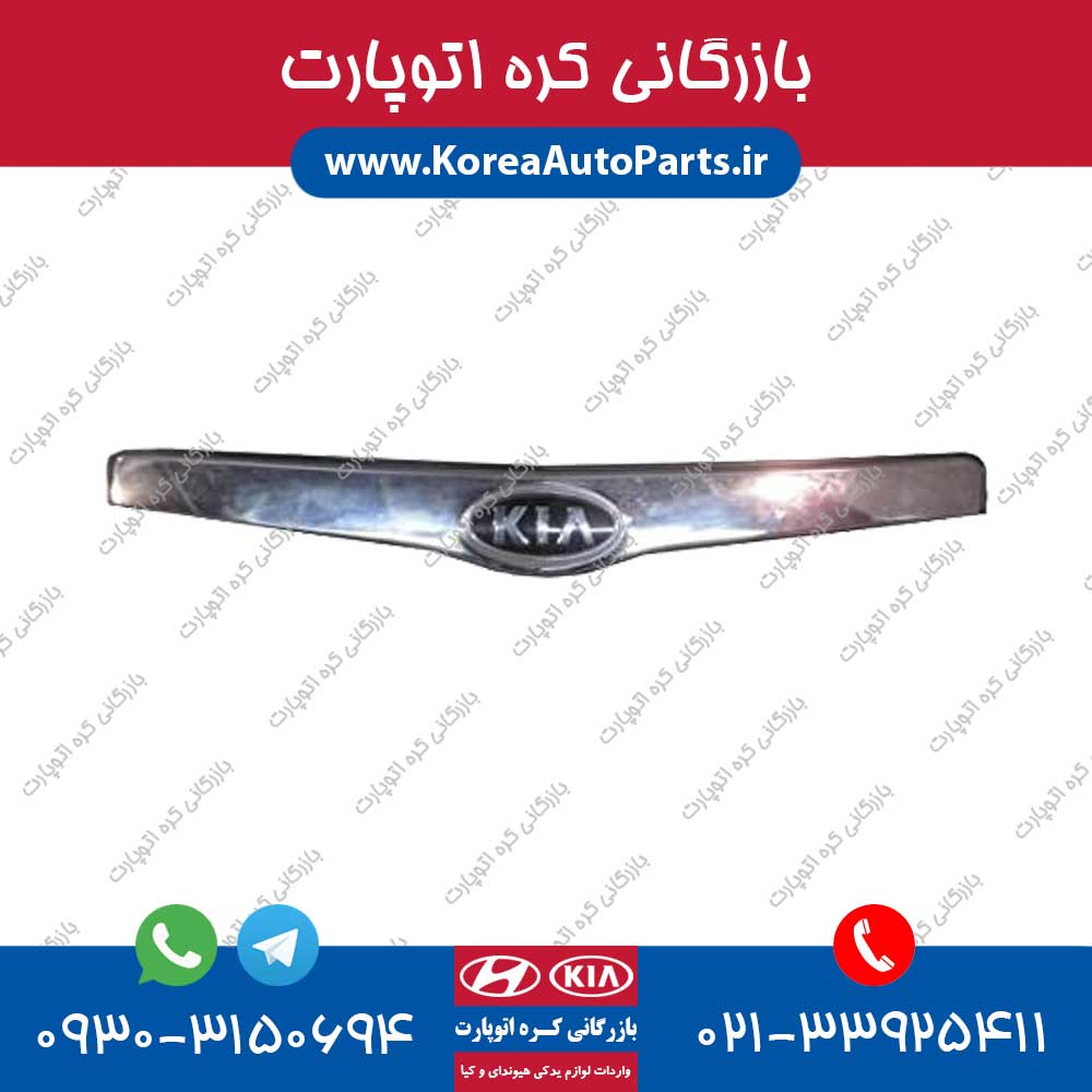 زه لبه کاپوت ورنا