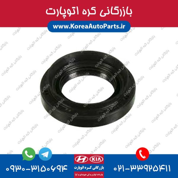 کاسه نمد پلوس النترا